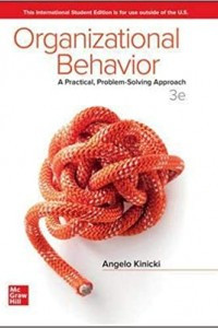 Image of Organizational Behavior: A Practical, Problem-Solving Approach